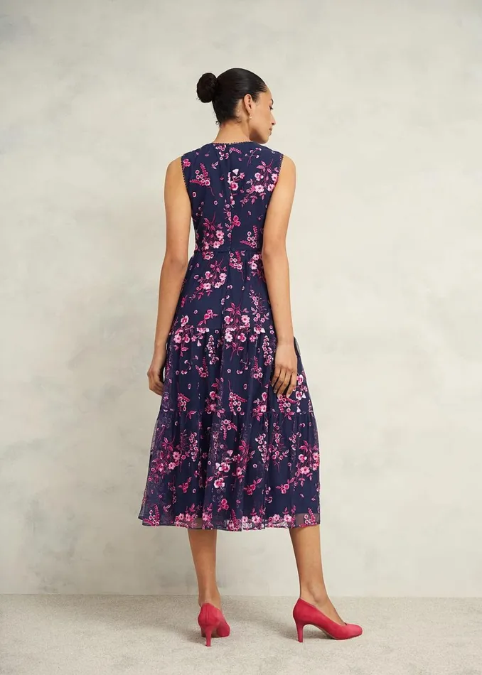 Dresses and Jumpsuits Women HOBBS Petite Bethany Embroidered Dress Navy Pink