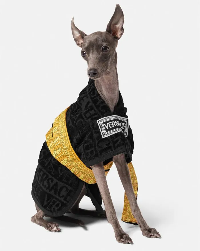 I Baroque Small Pet Bathrobe Black Home and Lifestyle Versace Pet Accessories