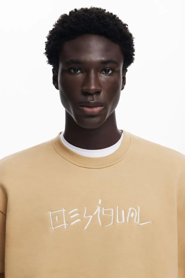 Jumpers And Sweatshirts Men Desigual Embroidered Sweatshirt Brown