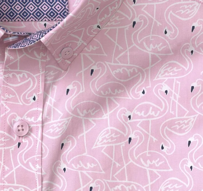 Men Johnston and Murphy ShortSleeve Shirts Printed Cotton ShortSleeve Shirt Pink Flamingo Men Johnston and Murphy ShortSleeve Shirts Printed Cotton ShortSleeve Shirt Pink Flamingo
