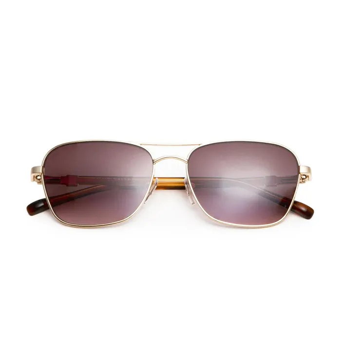 Men Sunglasses Bruno Magli Playa Aviator Sunglasses 8211 Gold Tortoise