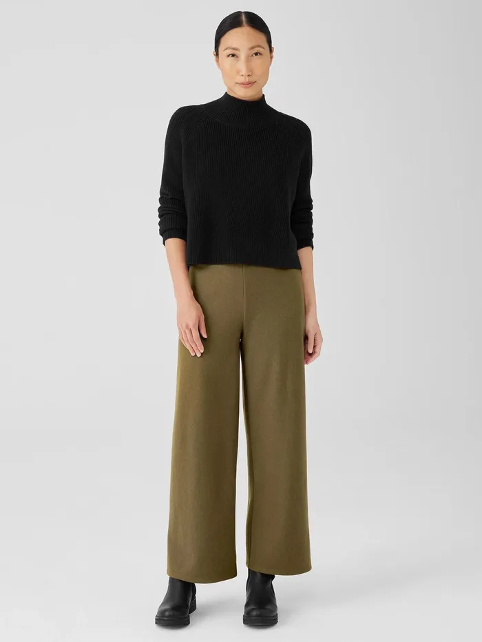 Sweaters and Cardigans Women Eileen Fisher Merino Cropped Turtleneck Top In Regenerative Wool Black
