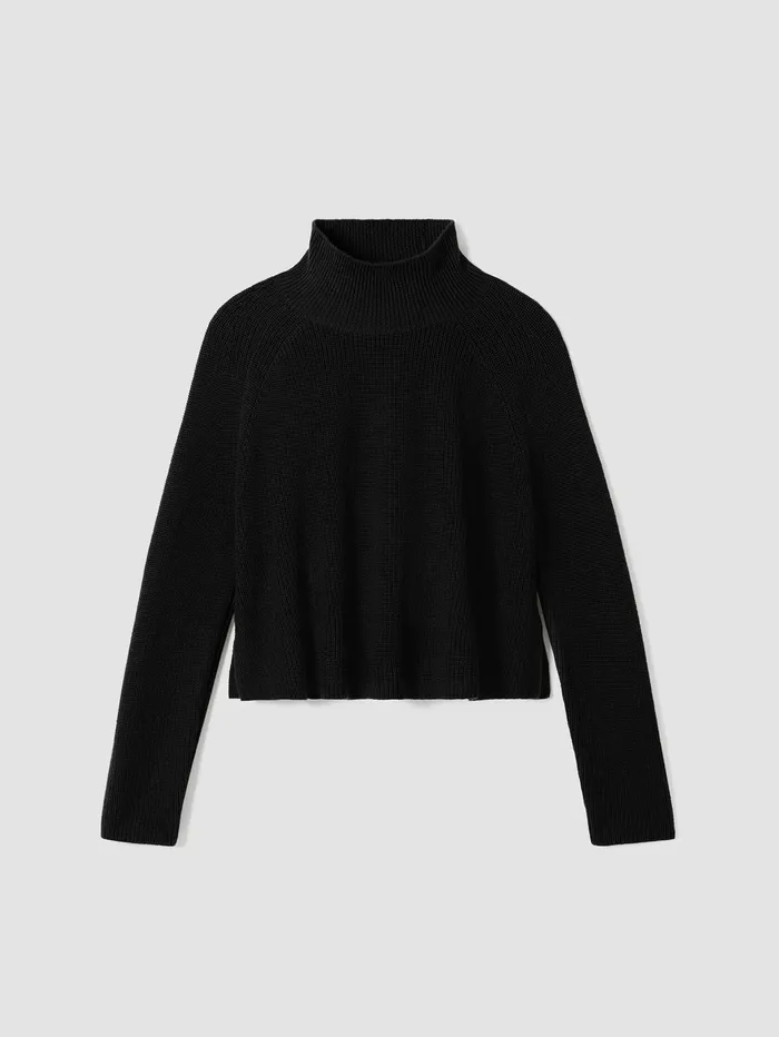 Sweaters and Cardigans Women Eileen Fisher Merino Cropped Turtleneck Top In Regenerative Wool Black