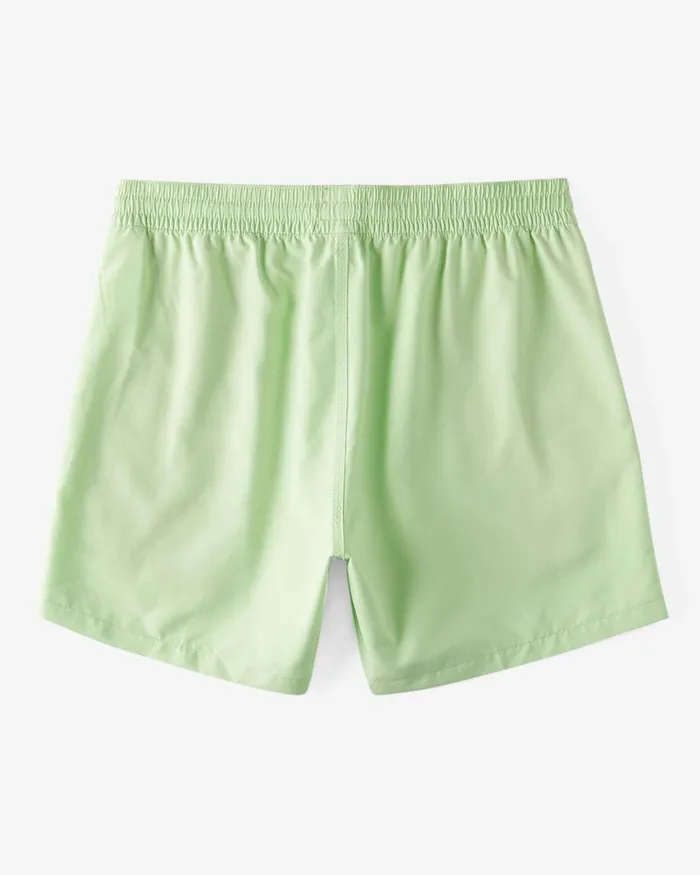 Billabong Layback Boardshorts All Day Layback 16034 Swim Trunks Pistachio 8211 Men Billabong Layback Boardshorts All Day Layback 16034 Swim Trunks Pistachio 8211 Men