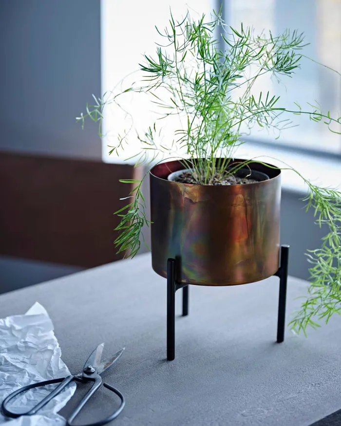 French Connection Molten Copper Desktop Planter Bronze Home Home Accessories