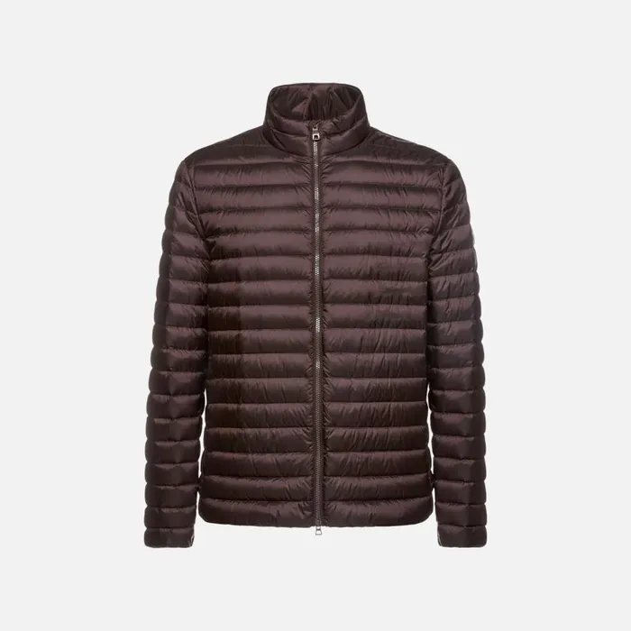 Geox Down Jackets WARRENS MAN Chocolate Plum Short Down Jacket Chocolate Plum 8211 Man Geox Down Jackets WARRENS MAN Chocolate Plum Short Down Jacket Chocolate Plum 8211 Man