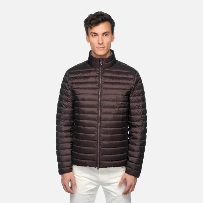 Geox Down Jackets WARRENS MAN Chocolate Plum Short Down Jacket Chocolate Plum 8211 Man