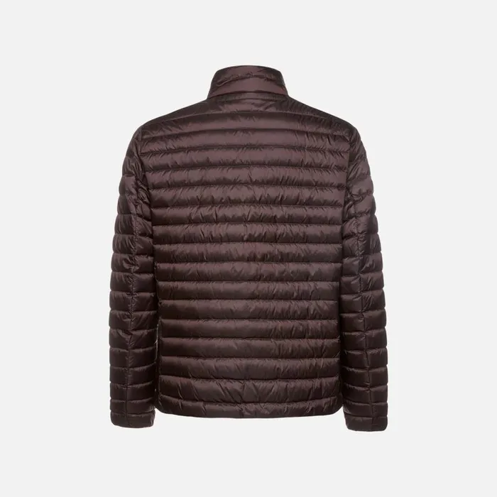 Geox Down Jackets WARRENS MAN Chocolate Plum Short Down Jacket Chocolate Plum 8211 Man