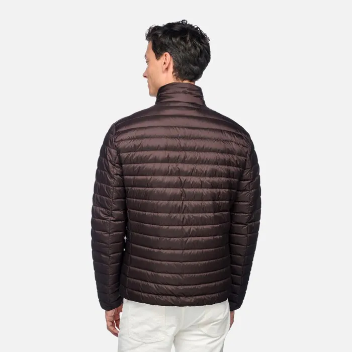 Geox Down Jackets WARRENS MAN Chocolate Plum Short Down Jacket Chocolate Plum 8211 Man