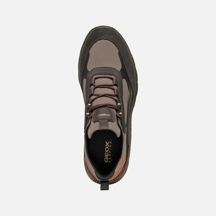 Geox Sneakers SPHERICA ACTIF MAN Dove GreyBlack Low Top Sneakers Dove Greyblack 8211 Man