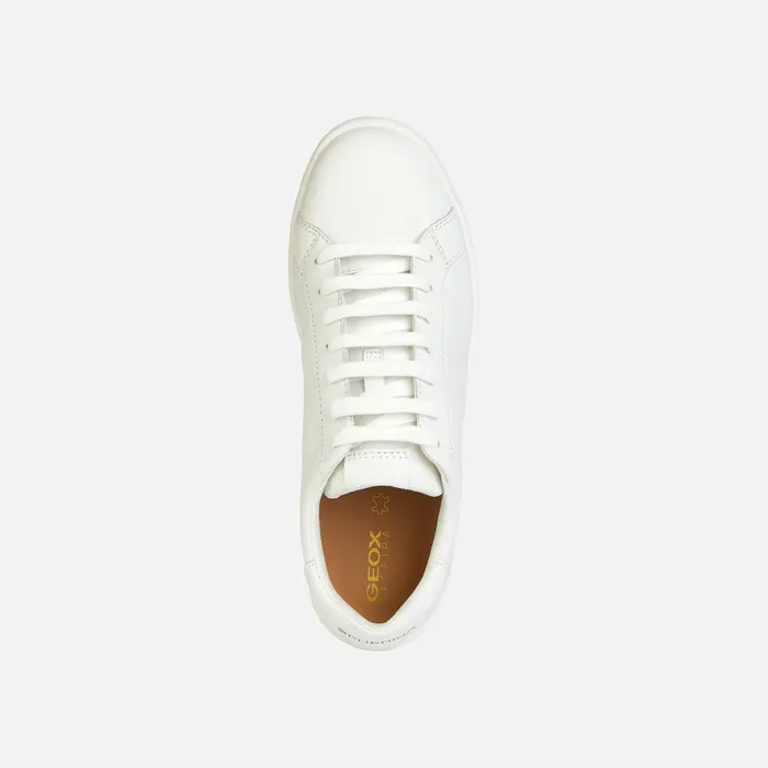 Geox Sneakers SPHERICA ECUB1 Women039s White Low Top Sneakers Geox White 8211 Woman