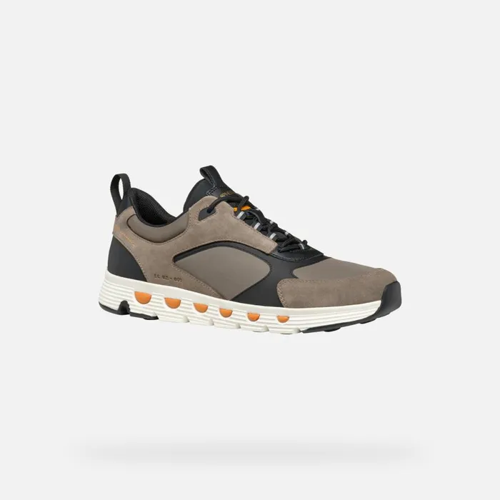 Geox Sneakers SPHERICA ECUB4 MAN Dove GreyBlack Low Top Sneakers Dove Greyblack 8211 Man