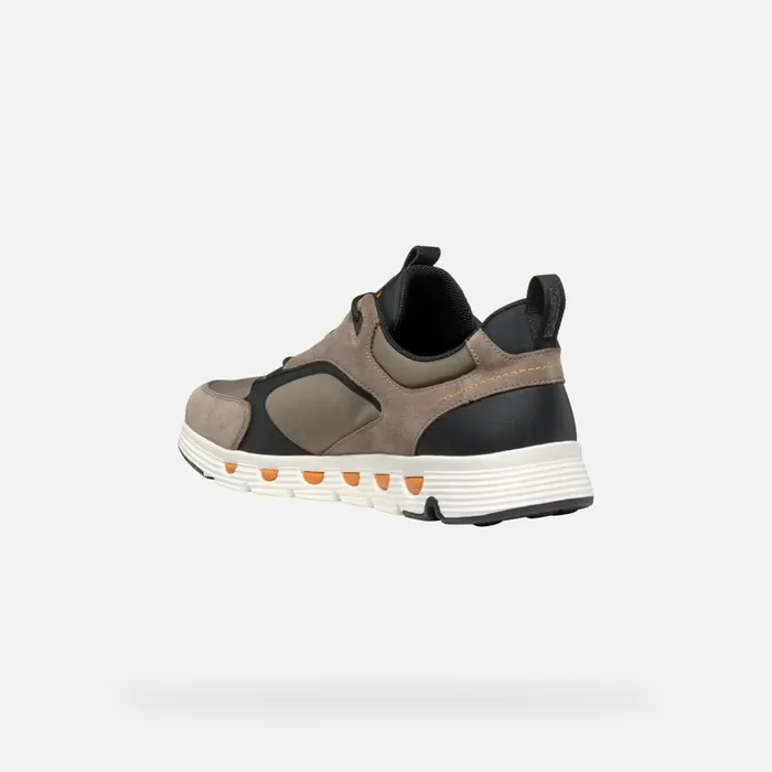 Geox Sneakers SPHERICA ECUB4 MAN Dove GreyBlack Low Top Sneakers Dove Greyblack 8211 Man