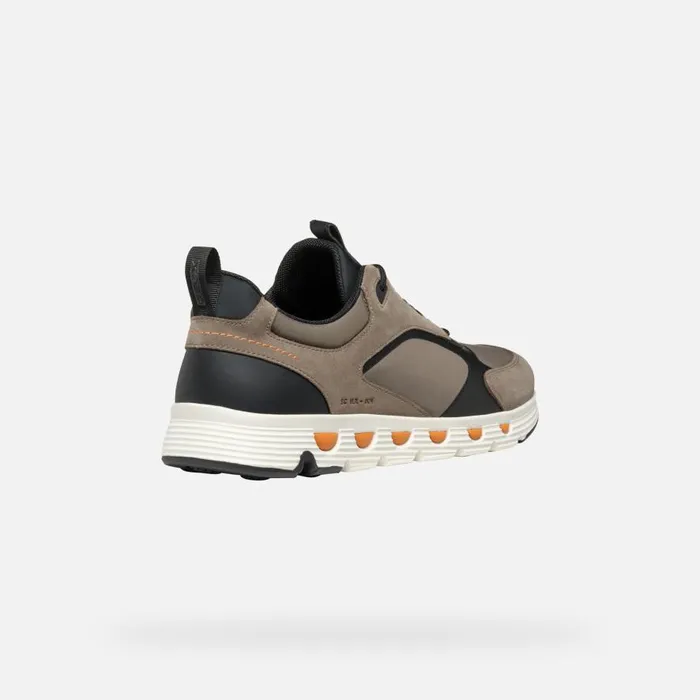 Geox Sneakers SPHERICA ECUB4 MAN Dove GreyBlack Low Top Sneakers Dove Greyblack 8211 Man