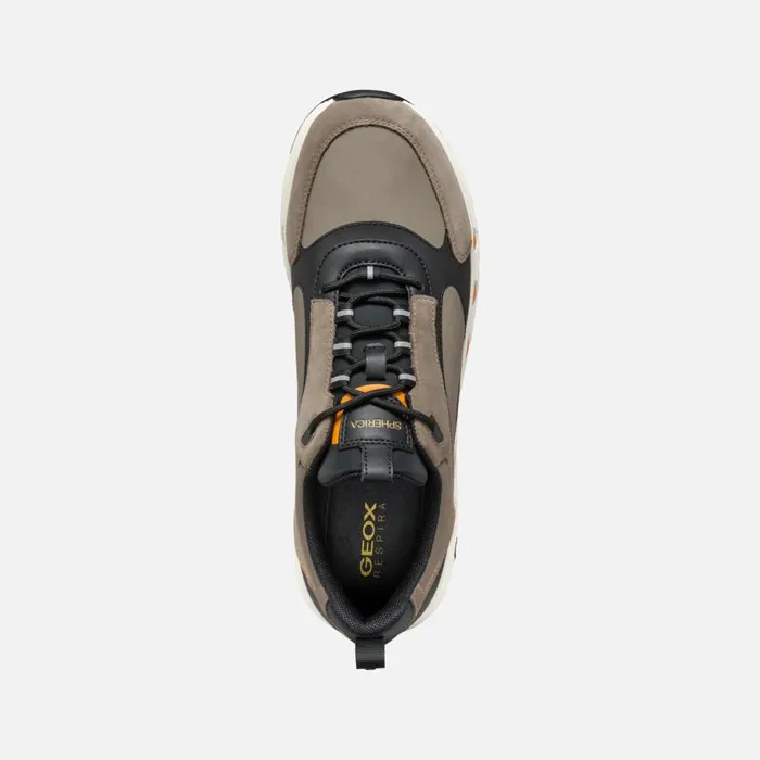 Geox Sneakers SPHERICA ECUB4 MAN Dove GreyBlack Low Top Sneakers Dove Greyblack 8211 Man