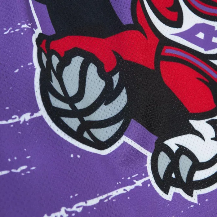 Men039s Shorts Mitchell and Ness Jumbotron 30 Shorts Toronto Raptors Men039s Shorts Mitchell and Ness Jumbotron 30 Shorts Toronto Raptors
