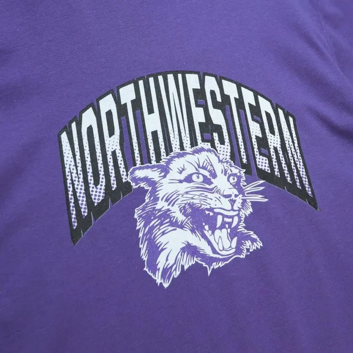 Men039s TShirts and Tops Mitchell and Ness University Arch Logo LS Tee Northwestern University Men039s TShirts and Tops Mitchell and Ness University Arch Logo LS Tee Northwestern University
