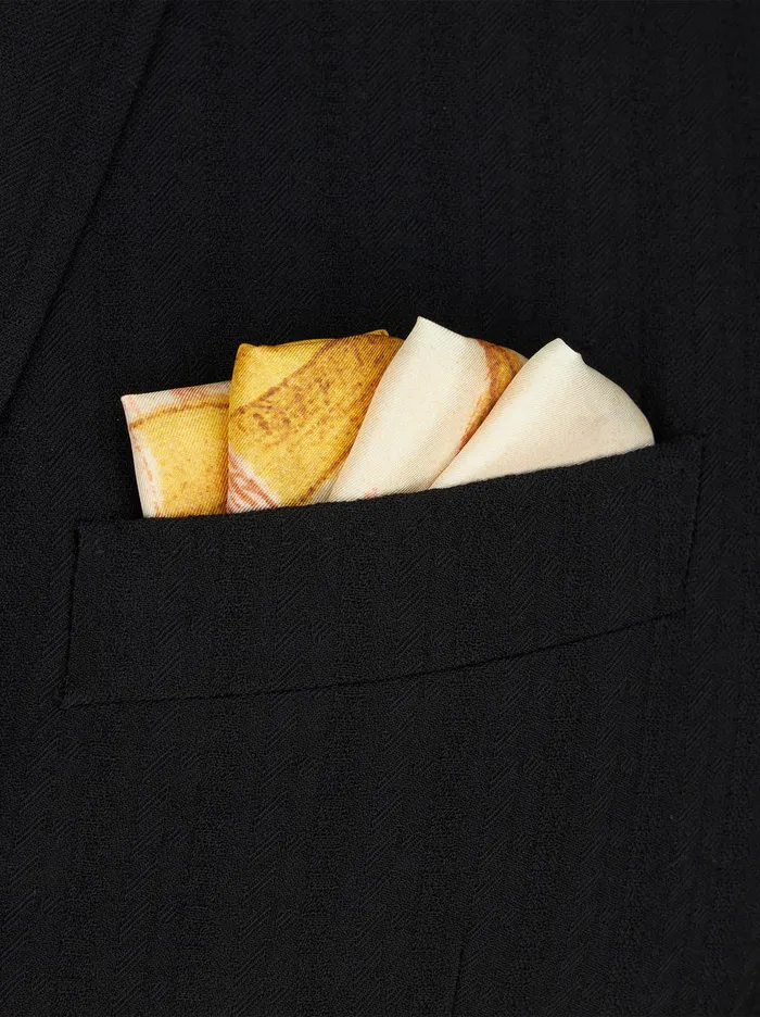 Men Pocket Square With Dragonflies Etro Ties And Pocket Squares