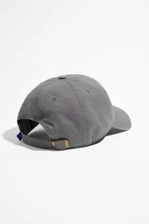 Women Dynamite Caps and Hats Los Angeles Clean Up Cap Gray