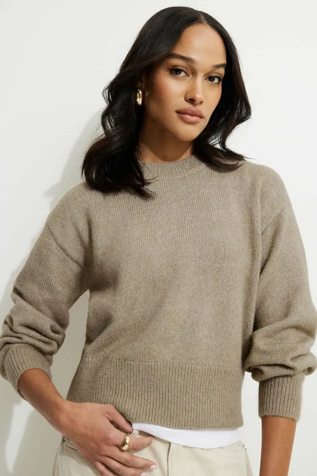 Women Dynamite Tops Relaxed Crewneck Sweater Brown