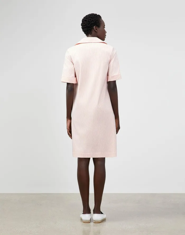 Women Lafayette 148 New York Dresses PlusSize Andie Dress In Kindcotton Courtland Stripe Tanned Coral Multi