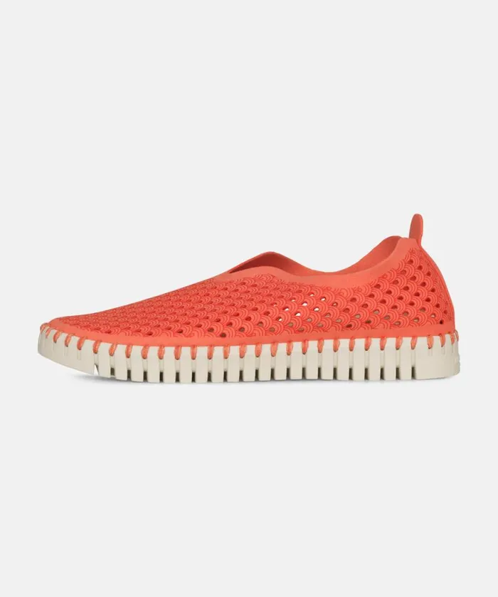 Women Tulip Flats Ilse Jacobsen Tulip SlipIn 8211 Raspberry Women Tulip Flats Ilse Jacobsen Tulip SlipIn 8211 Raspberry
